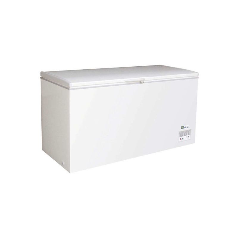 Congélateur bahut - Couvercle plein abattant (BD598F)